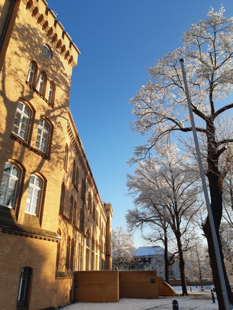 Sprachenzentrum in Frankfurt Oder mit Bäumen im Schnee und bei Sonne