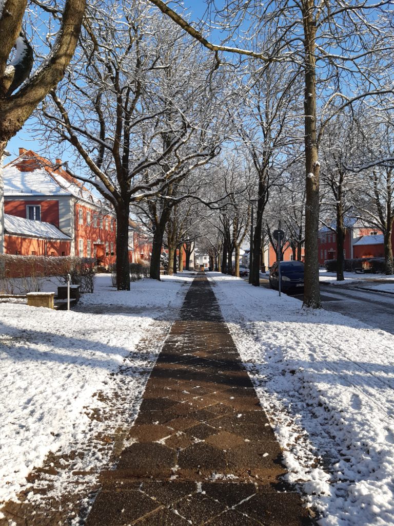 Von Bäumen gesäumter Weg mit Schnee